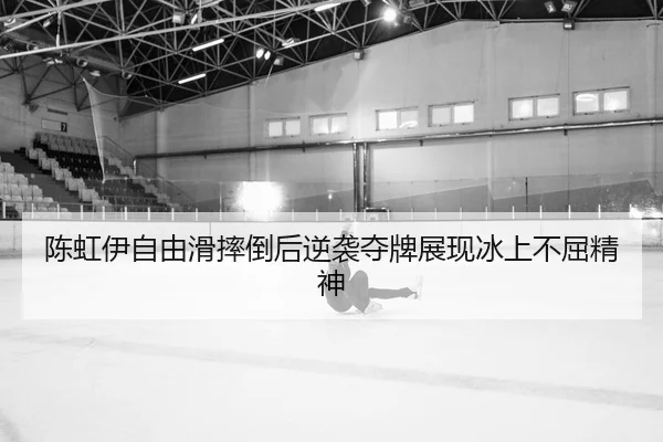 chen-hong-yi-zi-you-hua-shuai-dao-hou-ni-xi-duo-pai-zhan-xian-bing-shang-bu-qu-jing-shen-2-110.jpg