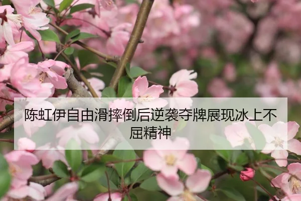 陈虹伊自由滑摔倒后逆袭夺牌展现冰上不屈精神