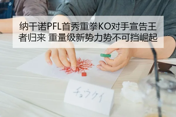 纳干诺PFL首秀重拳KO对手宣告王者归来 重量级新势力势不可挡崛起
