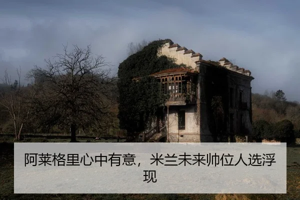 a-lai-ge-li-xin-zhong-you-yi-mi-lan-wei-lai-shuai-wei-ren-xuan-fu-xian-2-465.jpg