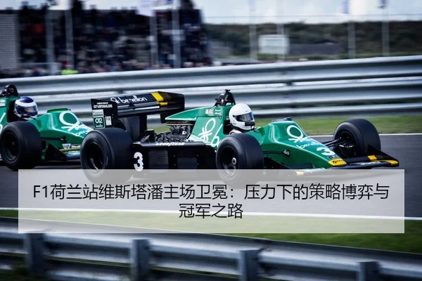 he-lan-zhan-wei-si-ta-pan-zhu-chang-wei-mian-ya-li-xia-de-ce-lve-bo-yi-yu-guan-jun-zhi-lu-2-385.jpg