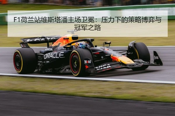 he-lan-zhan-wei-si-ta-pan-zhu-chang-wei-mian-ya-li-xia-de-ce-lve-bo-yi-yu-guan-jun-zhi-lu-3-448.jpg