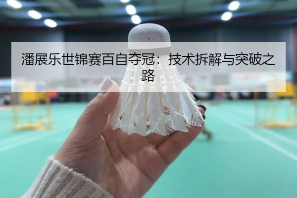 潘展乐世锦赛百自夺冠：技术拆解与突破之路