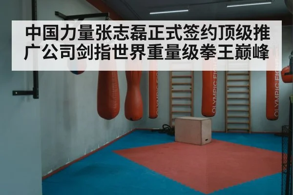 中国力量张志磊正式签约顶级推广公司剑指世界重量级拳王巅峰
